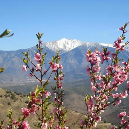 Madres- Coronat Balcon Du Canigou 펜션 *