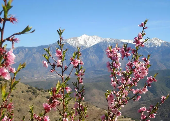 Madres- Coronat Balcon Du Canigou Holiday home *