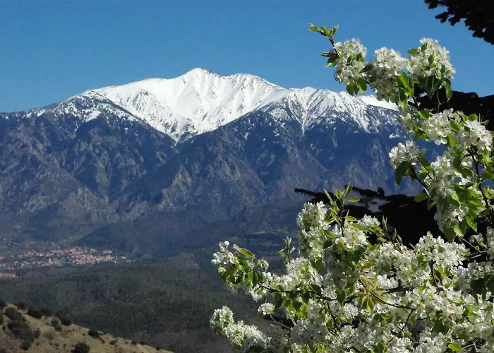 Holiday home Madres- Coronat Balcon Du Canigou